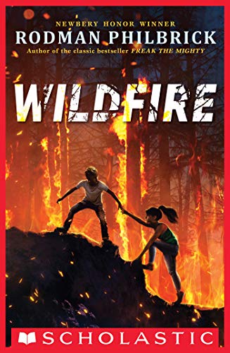 Book--Wildfire